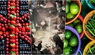 Dev Noodle Ziyafeti! Yılın Yemek Fotoğrafçısı Ödülü İçin Yarışan Birbirinden İddialı ve İştah Açıcı 21 Fotoğraf