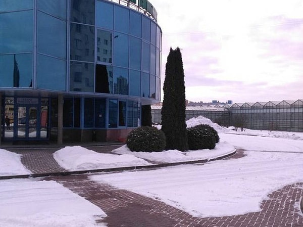 10. Ландшафтный дизайнер очень постарался 😳