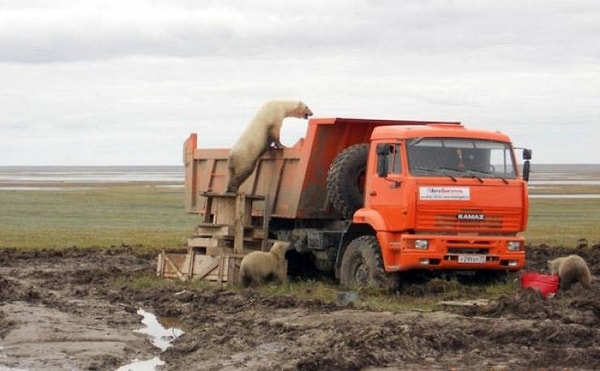 28. Кажется, теперь это их КамАЗ