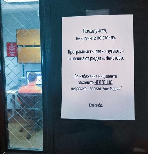 23. Айтишники - самые ранимые люди в мире! Не обижайте и не пугайте их!