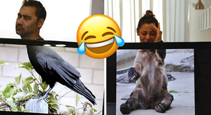 Офисные весельчаки: Эти ребята доказали, что даже на работе можно развлекаться от всей души