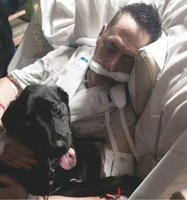 23. Sahibinin doğum günü için hastaneye gizlice sokulan sevimli köpek...