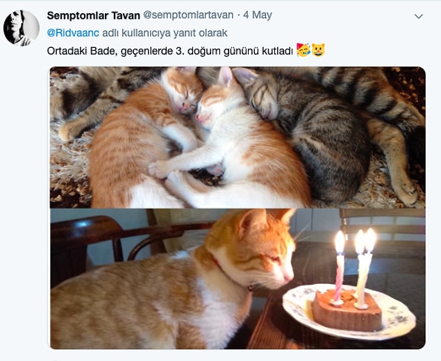 16.