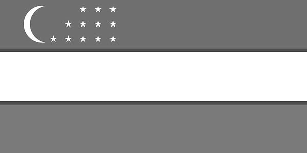 11. Чей это флаг?