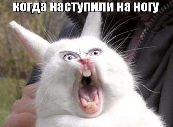 6. Представьте, что вам наступили на ногу. Какова ваша реакция?