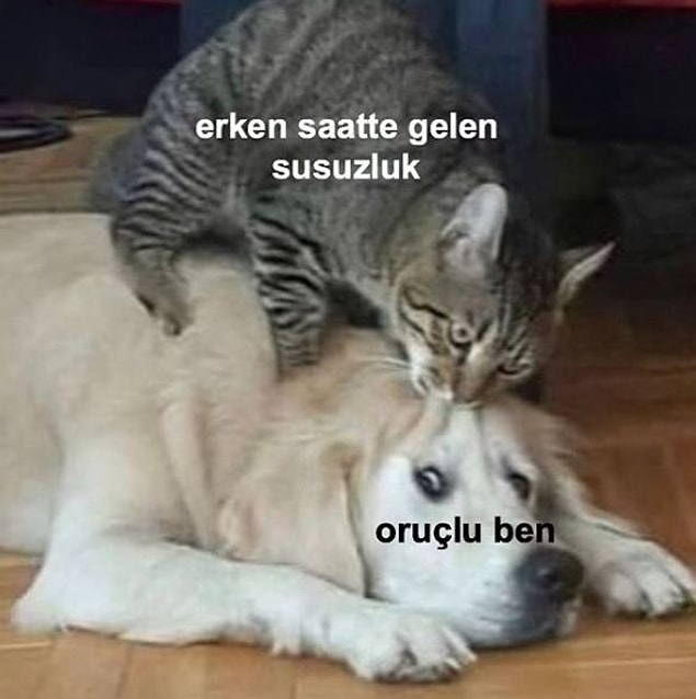 5. Tam olarak bu...