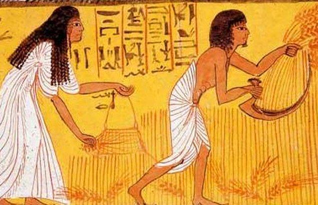 11. Antik Mısır’da, hamilelik testi kadınların arpa ve buğday tohumlarının üzerine idrarlarını yapmasıyla oluyormuş.
