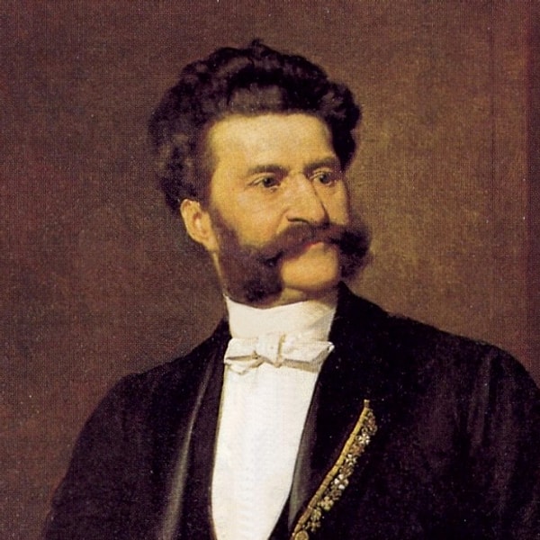 14. Что за великий австрийский композитор перед вами?