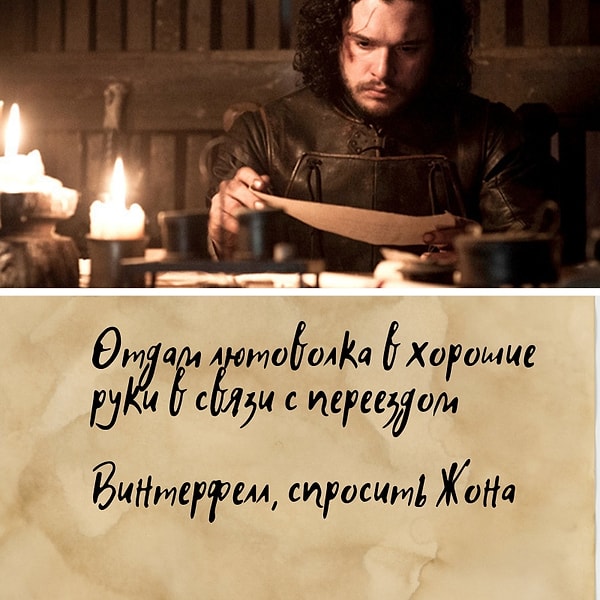 26. Плохой хозяин!