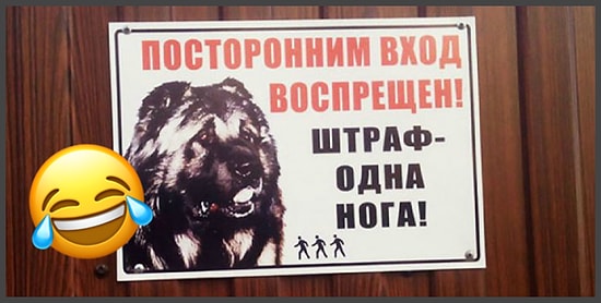 Умопомрачительные объявления, авторам которых нужно стоя аплодировать