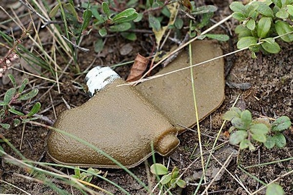 1. Каких животных использует бельгийская неправительственная организация APOPO для поиска и обнаружения противопехотных мин?