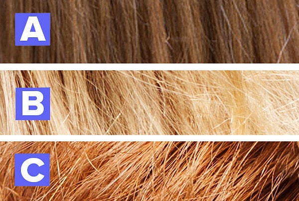 8. Перед вами три пряди волос. Две принадлежат людям, а третья - лошадиная. Под какой буквой?
