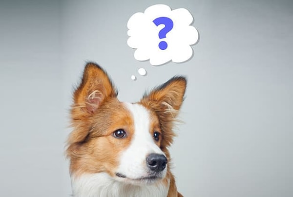 10. И, наконец, о каком числе думает этот хороший мальчик?