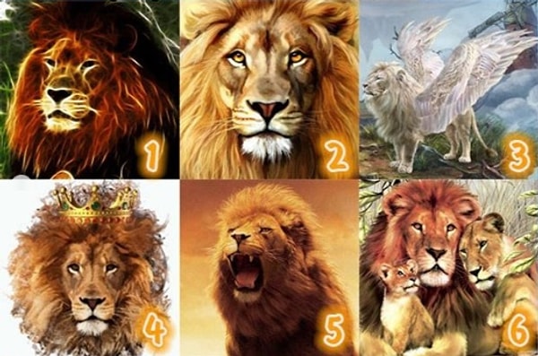 Итак, внимально посмотрите на картинки и подумайте, какого льва вы бы хотели видеть рядом с собой!