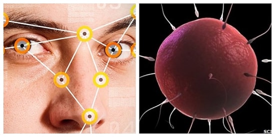 Beyler Dikkat! IQ Seviyenizin Doğurganlık Oranınızla ve Çocuklarınızın Sayısıyla İlgisi Olduğunu Biliyor muydunuz?