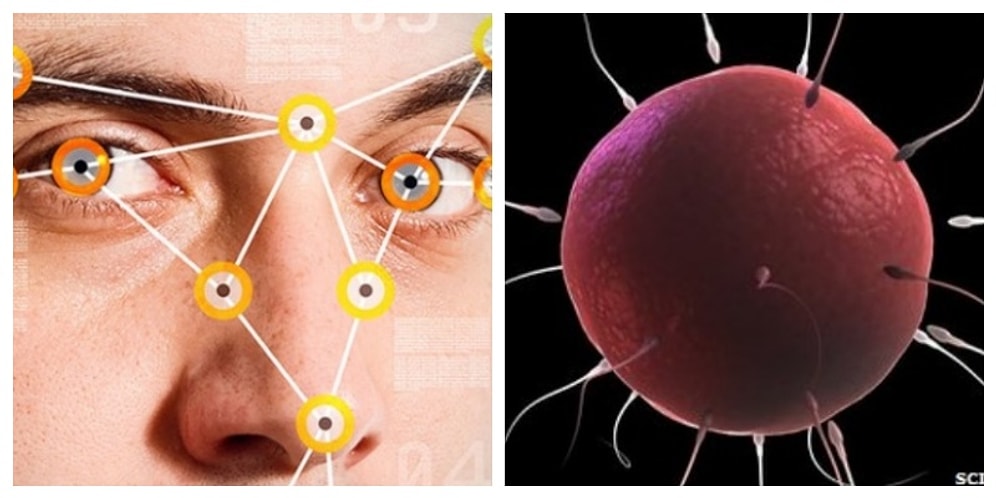 Beyler Dikkat! IQ Seviyenizin Doğurganlık Oranınızla ve Çocuklarınızın Sayısıyla İlgisi Olduğunu Biliyor muydunuz?