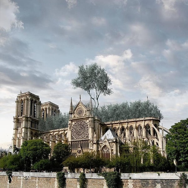 16. Оливковый сад вместо крыши от парижской студии Arcas Architects