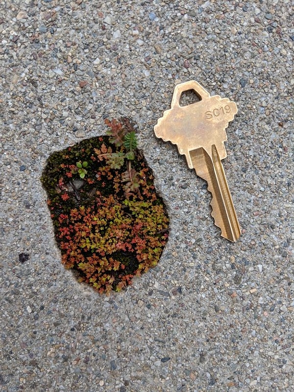 5. Когда природа сильнее