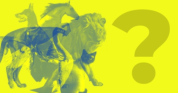 Кого же вы заметили первым?