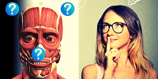 Если вы любите и знаете свое тело, то пройти этот тест по анатомии на 10/12 не составит для вас никакого труда!