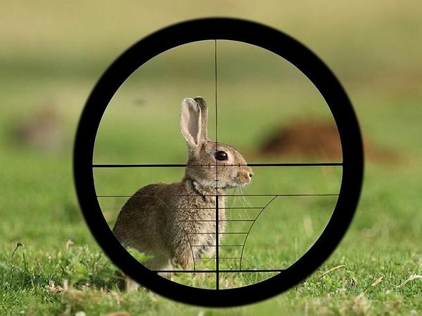 16. Кто из этих политических деятелей XX века умер своей смертью?