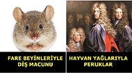 'Bu Nasıl Bir Hijyen Algısı?' Dedirtecek Tarihin En Kötü 25 Temizlik Alışkanlığı