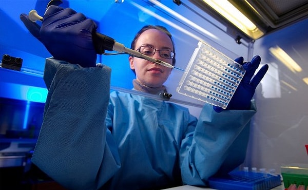 10. Кто переносит сыпной тиф?