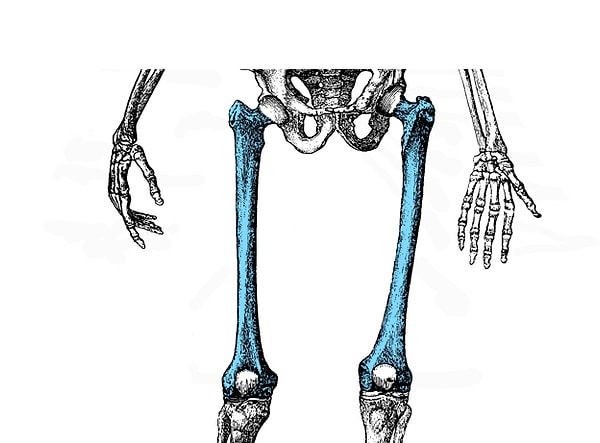 2. А это, конечно же, ...