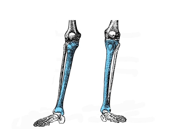 10. По логике вещей это...