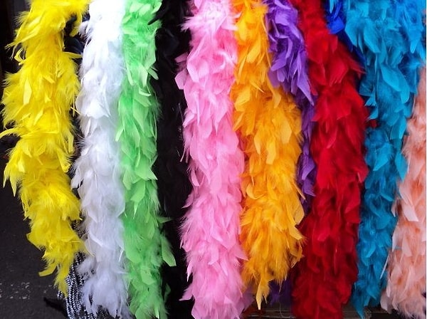 1. Страусо... боа