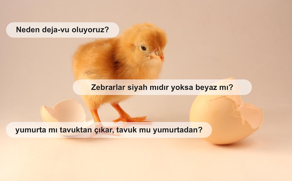 Yüzyıllardır İnsanlığın Kafasını Kurcalamayı Başarmış Soruların Cevabını Merak Ediyor musunuz?