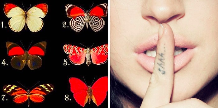 Тест: Выбранная бабочка расскажет, какие чувства вы скрываете от окружающих