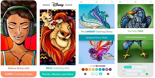 13. Pigment - Adult Coloring Book