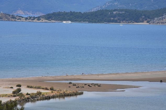 "Dalyan kumsalı ülkemiz ve dünya için önemli"