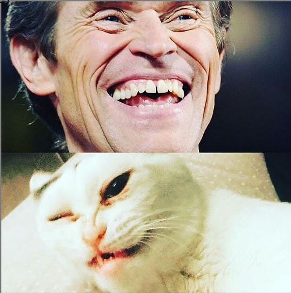 Подписчики Марлы уверены, что она слишком талантлива, чтобы походить лишь на одного известного актёра, и обнаружили её сходство с Уиллемом Дефо.