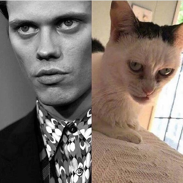 А также, многие узнали в ней черты Билла Скарсгарда, известного по роли клоуна, в легендарном ужастике "Оно", по роману Стивена Кинга.