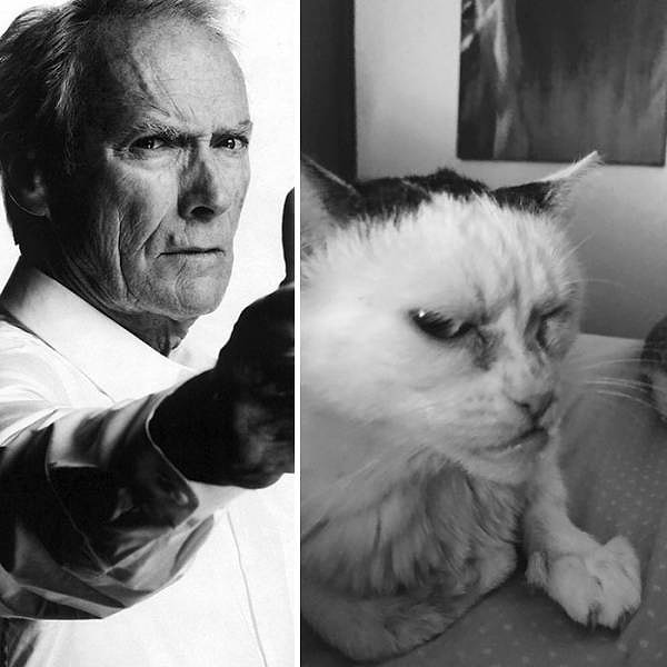 Сравнивают Марлу и с обладателем 5 премий "Оскар", легендарным актёром и режиссером Клинтом Иствудом. Ничего себе, это серьёзная заявка!