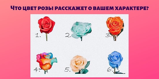 Что цвет выбранной розы расскажет о вашем характере?