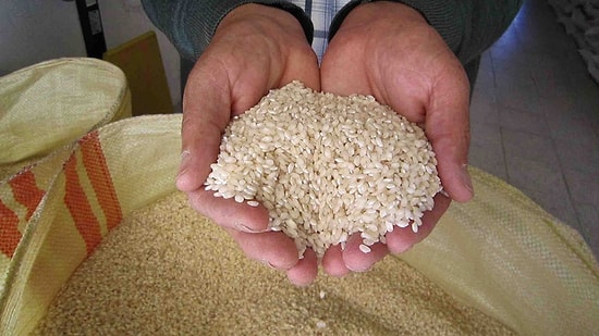 TMO İhale Açtı: 48 Bin Ton Pirinç İthal Edilecek