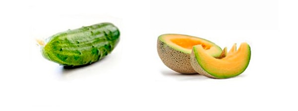 Огурец и дыня