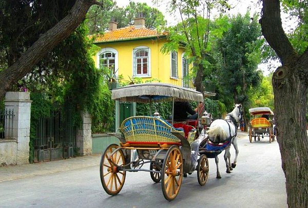 Çok eleştirilmesine rağmen, faytonlar hâlâ birçok turistik merkezde kullanılıyor.