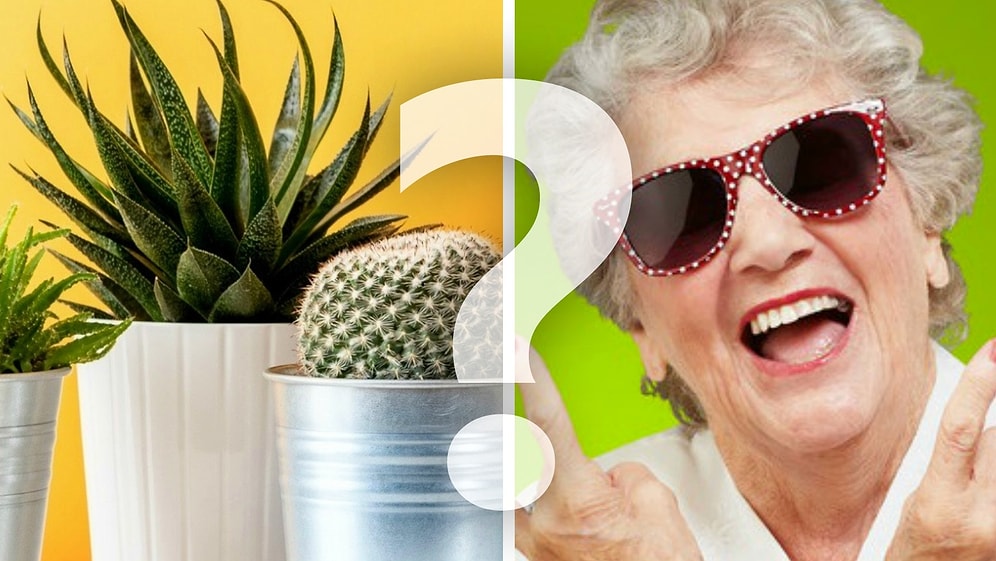 Тест: Что вы увидите первым? Ваш ответ раскроет ваш ментальный возраст