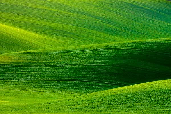 Вашу истинную внутреннюю сущность отражает зелёный цвет...