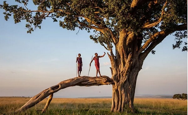 14. "Пойманный на деле". Автор: Мишель Теалл, категория: Природа.