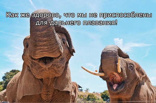 48. Сейчас где-то в Эссосе