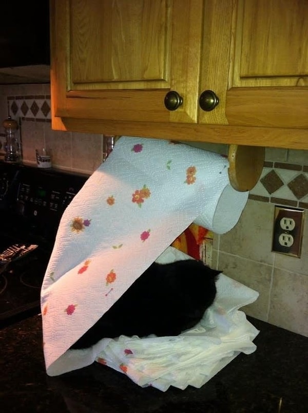 15. И свет выключи, холоп.