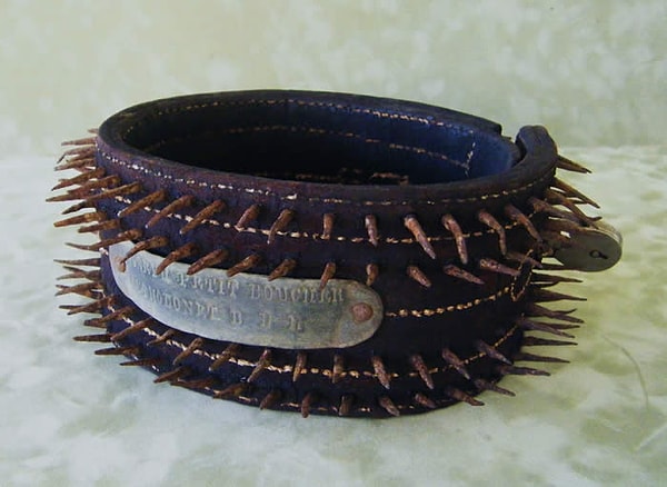 11. Для чего в Древней Греции использовались ошейники с шипами?