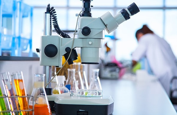 7. Энология изучает...