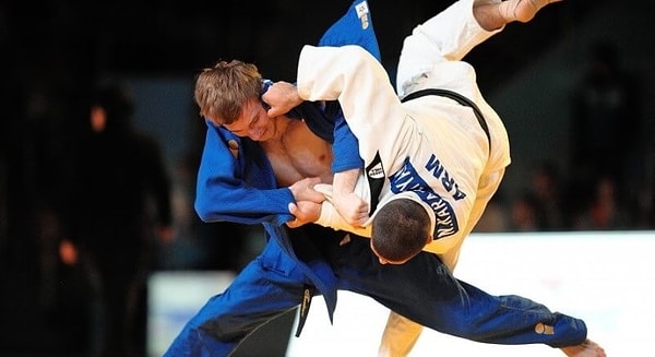 12. Дзюдо зародилось в…