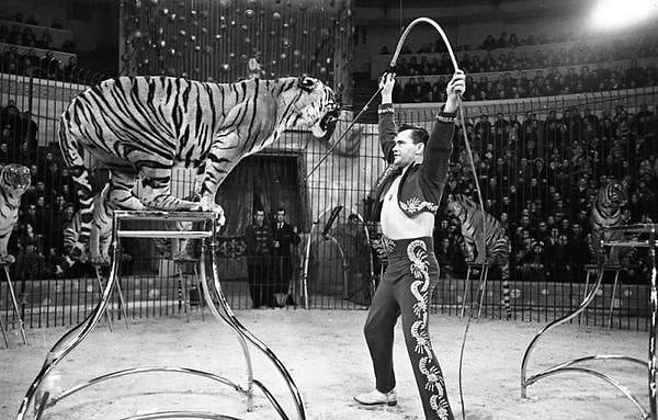 10. Вспомните среднюю цену билета в цирк.